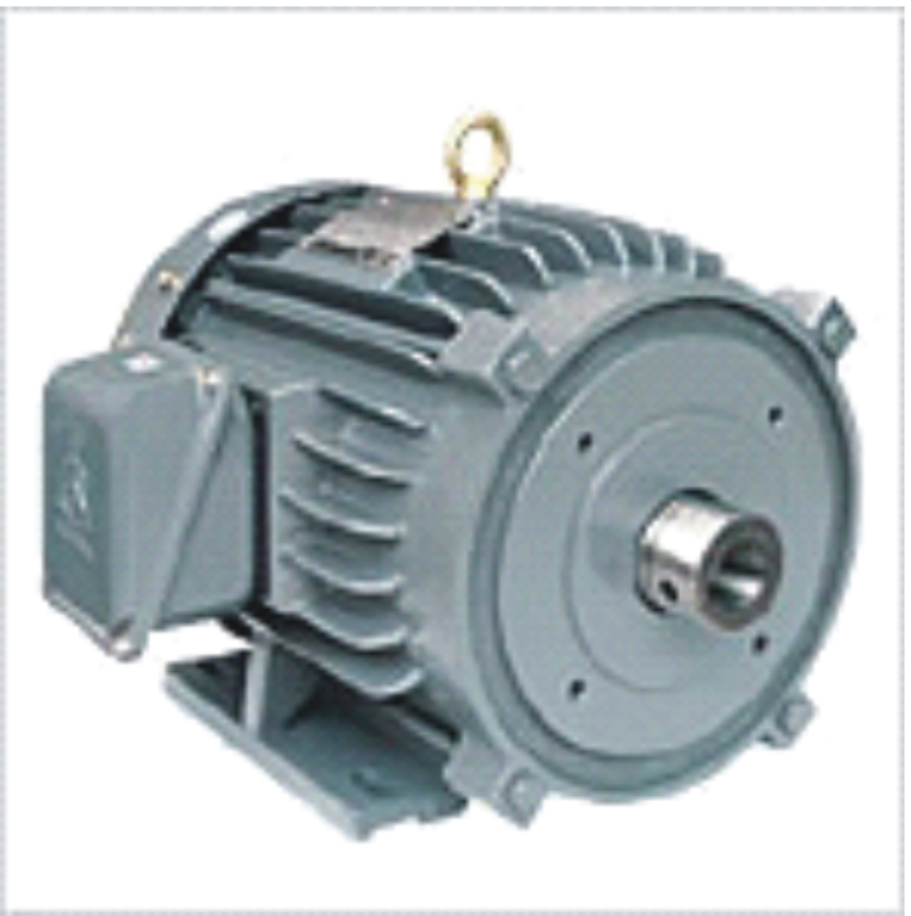 High pressure cleaning machine motor